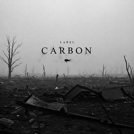 Carbon | Boomplay Music