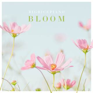 Bloom