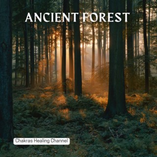 Ancient Forest: Shamanic Resonance