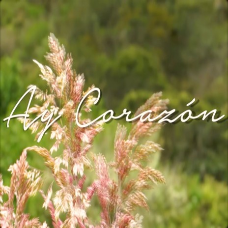 Ay Corazon | Boomplay Music