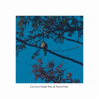 Let Love Guide You, & Never Fear | Boomplay Music