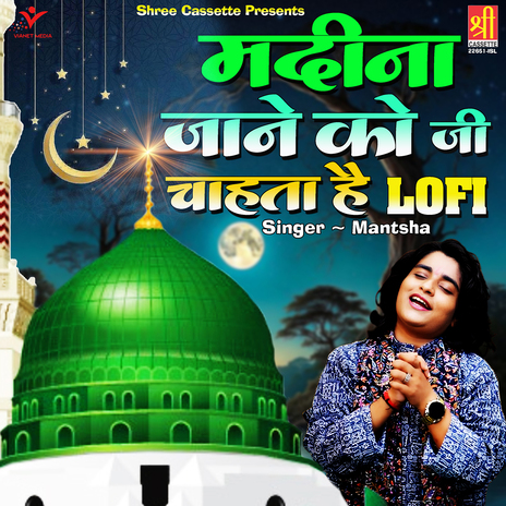 Madina Jane Ko Jee Chahta Hai-Lofi | Boomplay Music