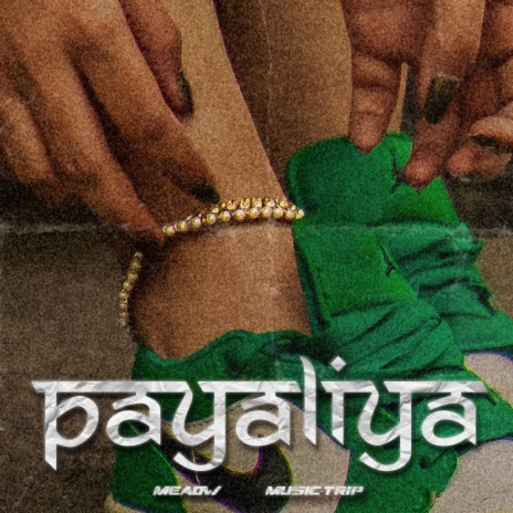 Payalia (Bollyfuck) ft. Meaow | Boomplay Music