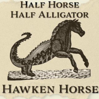Half Horse Half Alligator lyrics | Boomplay Music