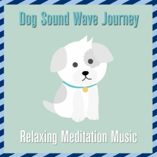 Dog Sound Wave Journey: Relaxing Meditation Music