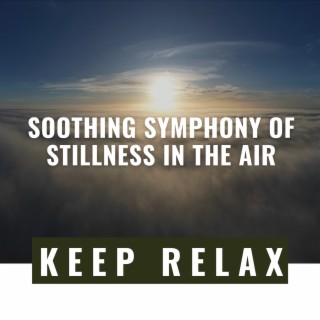Soothing Symphony of Stillness in the Air