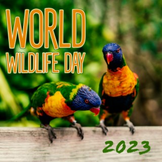 World Wildlife Day 2023 – The Nature Drawing