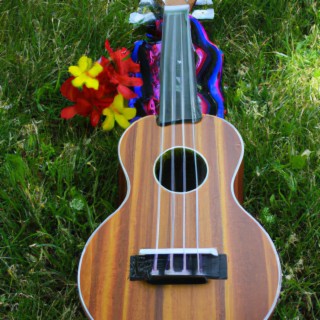 Summer Time Ukulele