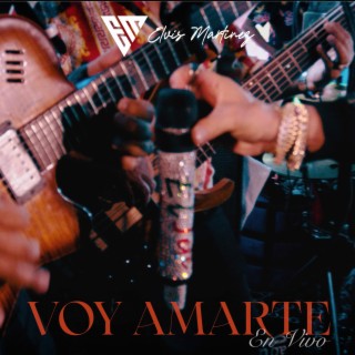 Voy Amarte (En Vivo - Special Version)
