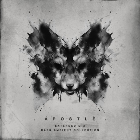 Apostle (Extended mix) | Boomplay Music