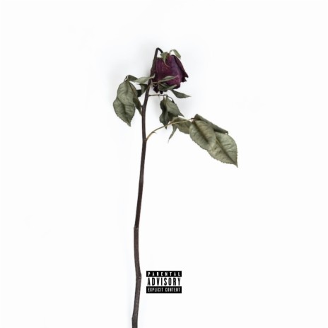 Rose's Interlude | Boomplay Music