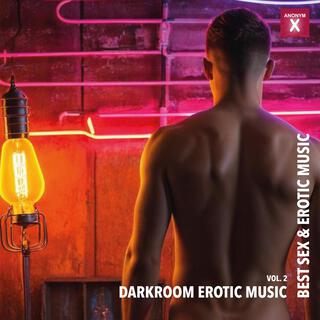 Darkroom Erotic Music, Vol. 2