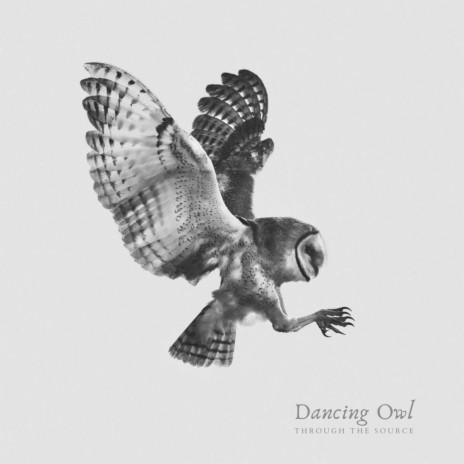 Dancing Owl | Boomplay Music