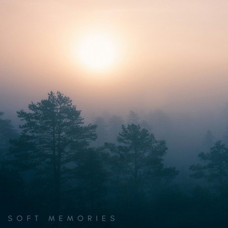 Soft memories | Boomplay Music