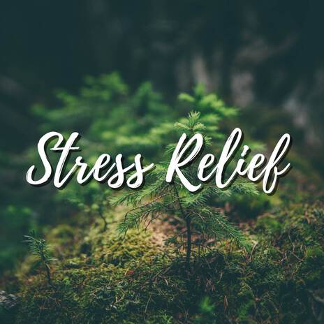 Relaxing Music for Sleep, Study and Meditation - Piano Music, Sleep Instantly | Boomplay Music