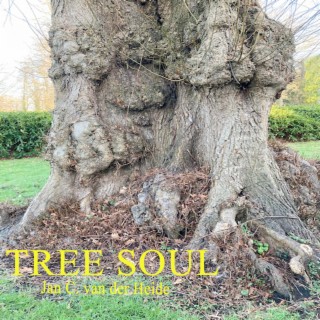 Tree Soul