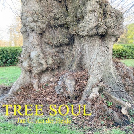 Tree Soul
