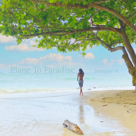Plane To Paradise