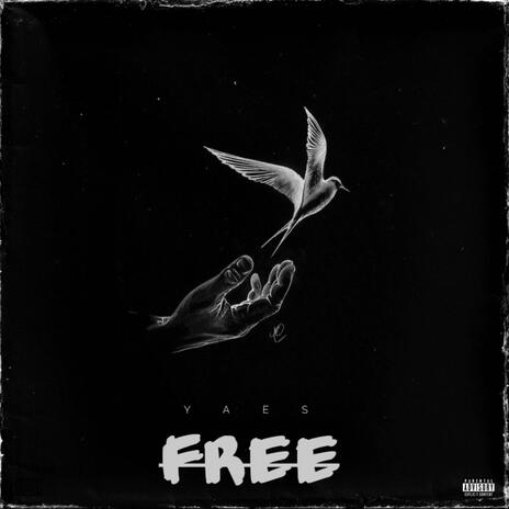 FREE | Boomplay Music