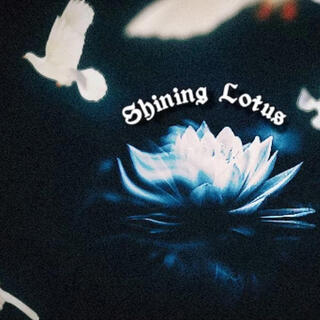 Shining Lotus