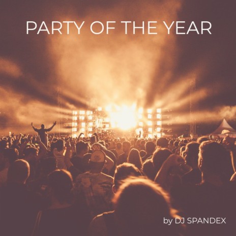 Party of the Year (Radio Edit)