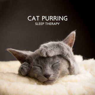 Cat Purring: Sleep Therapy