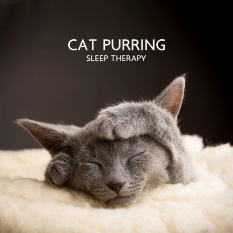 Soothing Cat Sounds