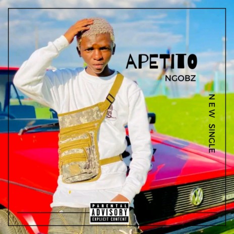 Apetito Pretty Palesa (To Nandipha 808,Tyler ICU,Mellow n Sleazy) | Boomplay Music