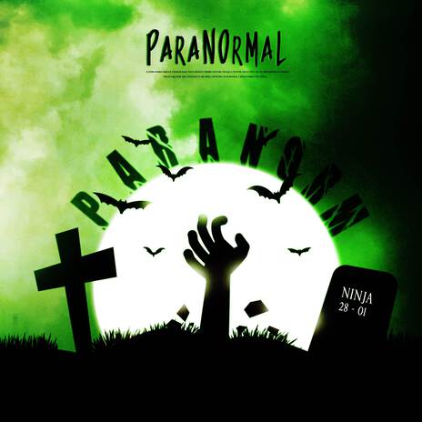 Paranormal (Norman) | Boomplay Music