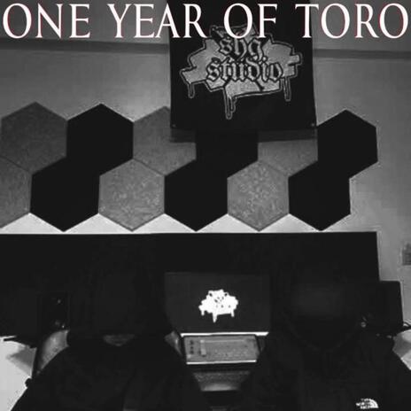 One Year Of Toro | Boomplay Music