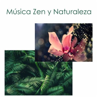 Música Zen y Naturaleza - Música Étnica Instrumental con Sonidos de la Naturaleza
