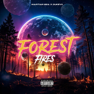 Forest Fires