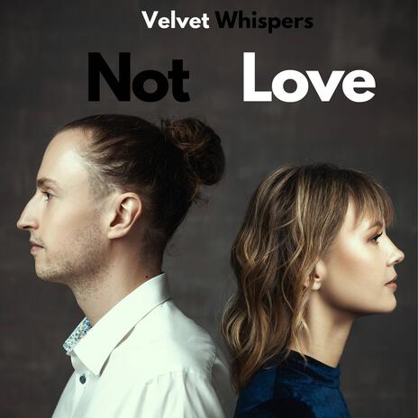 Not Love | Boomplay Music