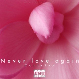 Never love again lyrics | Boomplay Music