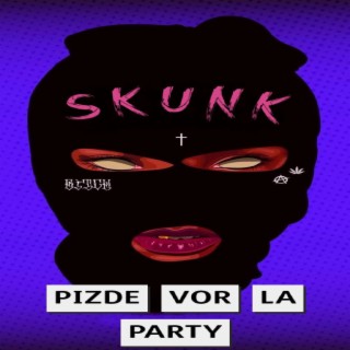 Pizde vor la party