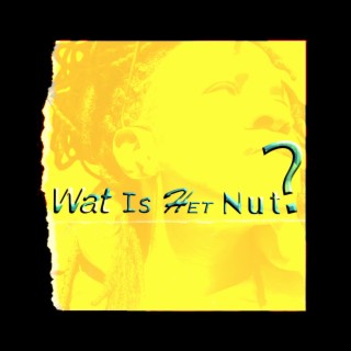 Wat Is Het Nut?