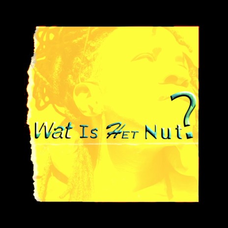 Wat Is Het Nut? | Boomplay Music