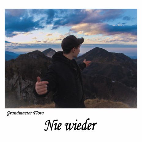 Nie wieder ft. The Grooveridaz | Boomplay Music