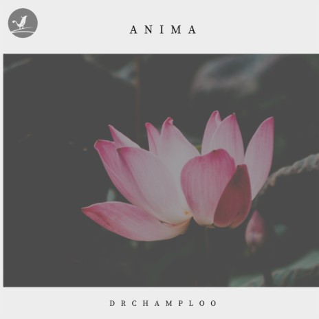 Anima | Boomplay Music