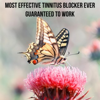 Most Effective Tinnitus Blocker Ever Guaranteed To Work