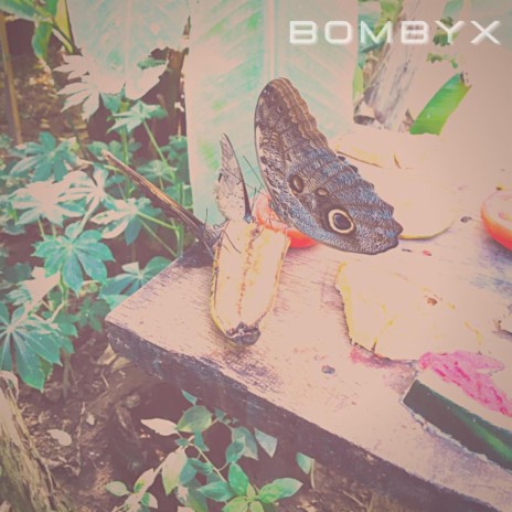 BOMBYX | Boomplay Music