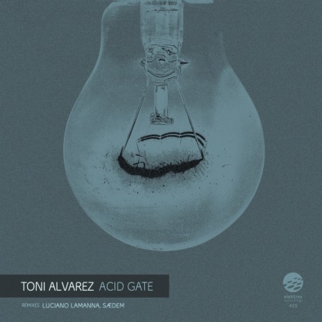 Acid Gate (Original Mix)