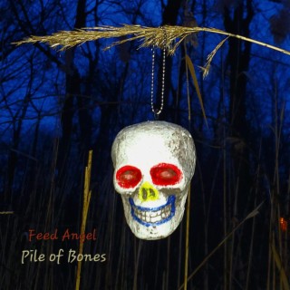 Pile Of Bones lyrics | Boomplay Music