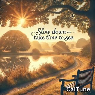 Slow Down & Take Time to See lyrics | Boomplay Music