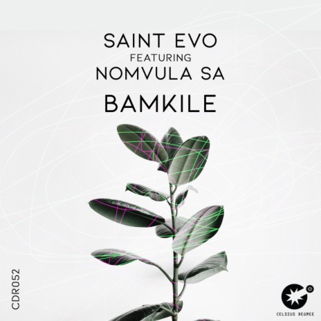 Bamkile (Original Mix) ft. Nomvula SA | Boomplay Music