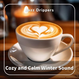 Cozy and Calm Winter Sound