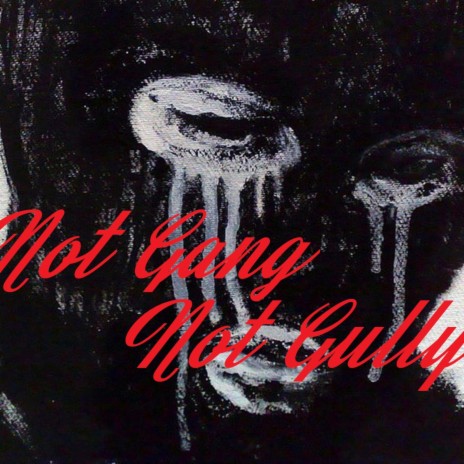 Not Gang Not Gully | Boomplay Music