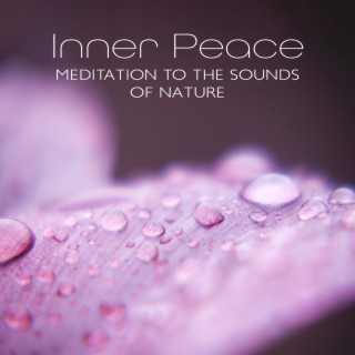 Inner Peace: Meditation to the Sounds of Nature, Mind Relaxation Music, Musical Therapy, Night Rain, Nature Escapes, Peaceful Retreat