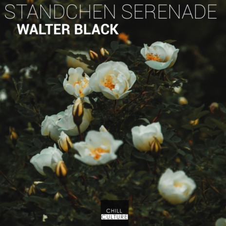 Standchen Serenade (Original Mix) | Boomplay Music