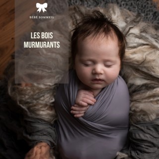 Les Bois Murmurants: Un Conte pour la Nuit: Bruit blanc et boîte à musique pour le bébé